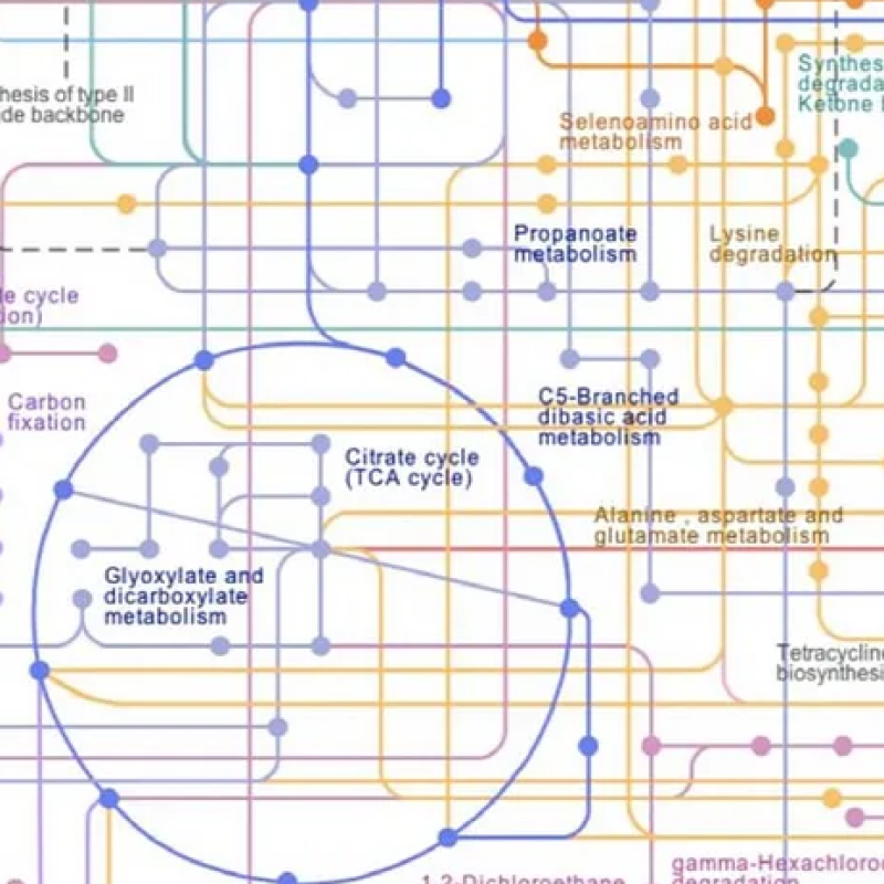 Coping with Complexity: A Design Perspective of Biotech and Science